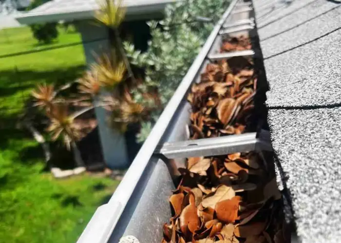 Williamston gutter cleaning home page